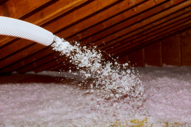 Best Cellulose Insulation in West Haven, UT