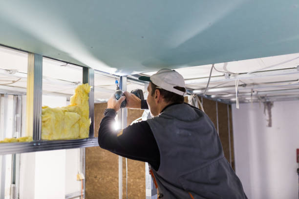Best Insulation Maintenance and Repair in West Haven, UT