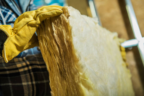 Best Eco-Friendly Insulation in West Haven, UT